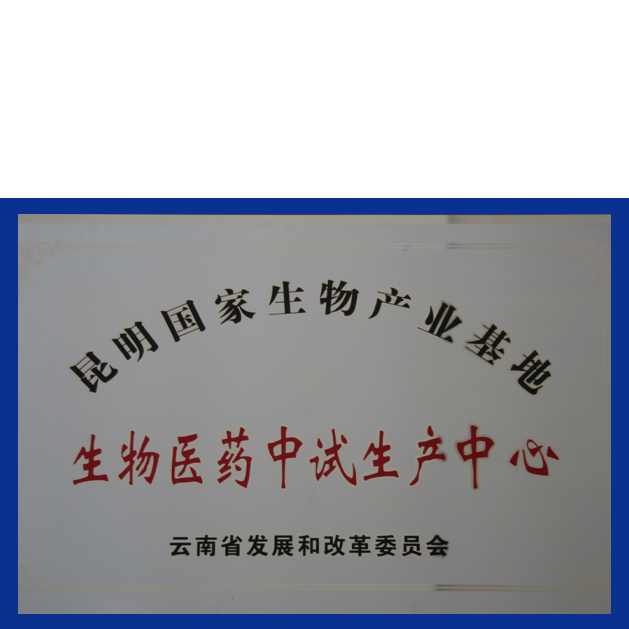 首页-玛雅吧-「品质引领生长,专注成绩未来」