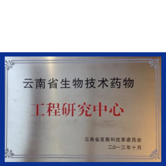 首页-玛雅吧-「品质引领生长,专注成绩未来」